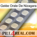 Gelée Orale De Nizagara 08
